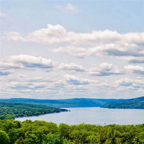 озеро, окруженное деревьями и голубым небом с облаками