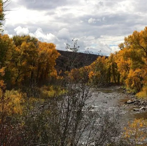 река окружена осенними деревьями
