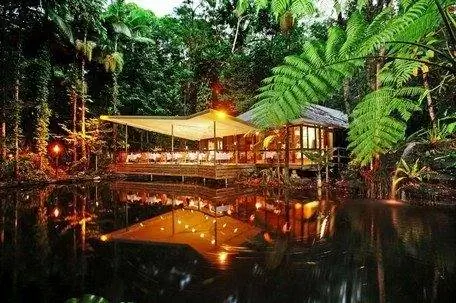 daintree ecolodge high res048 800 Путеводитель по Австралии