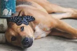 Молния бьет однажды 5023527728 l 250x167 Путешествия, Фотография, Контекст, Перспектива и Жизнь