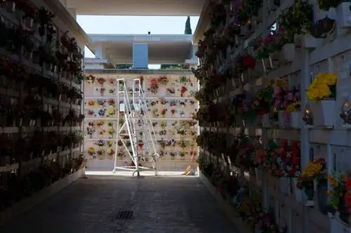 кладбищенская лестница