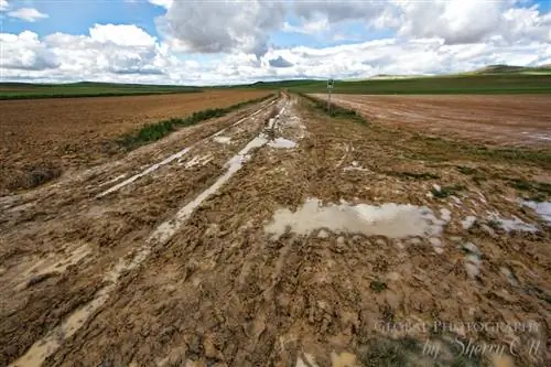 грязь Камино