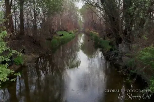 речной туман