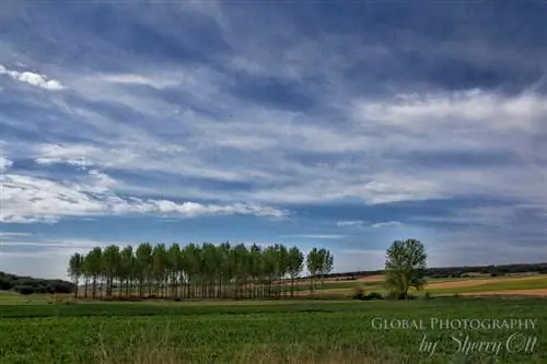 испания пейзаж