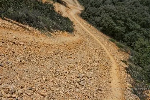 каменистая тропа