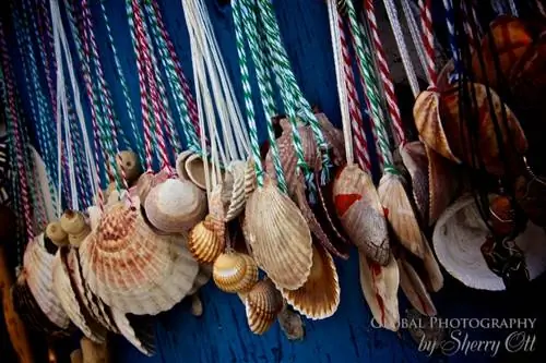 Камино ракушки