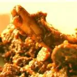 Вазван в стиле Кашмири Гошт на 12