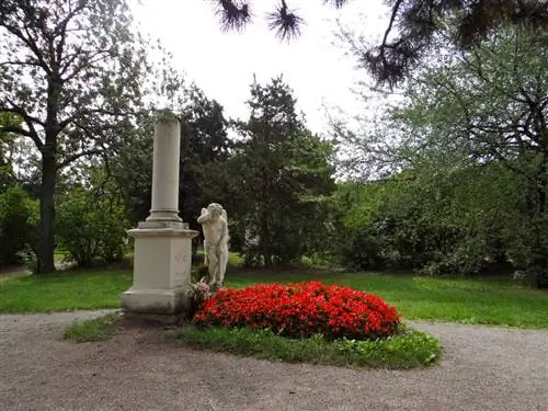 Воспоминания о Вене, Зальцбурге и магии Моцарта