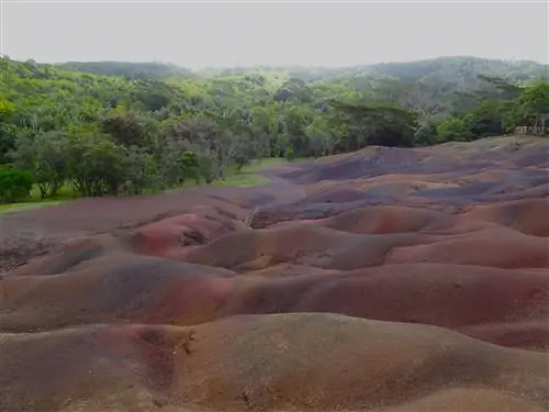 Маврикий, фотографии Маврикия, Шамарель