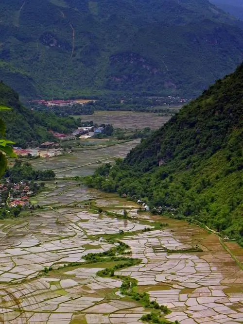 Как открытки соединяют мир