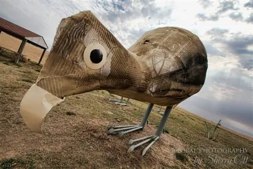 фазаны в прериях