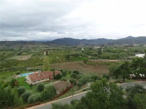 Фото Испании, Вино Таррагоны, Falsat Spain