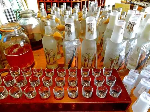 Дегустация рома, ром маврикий