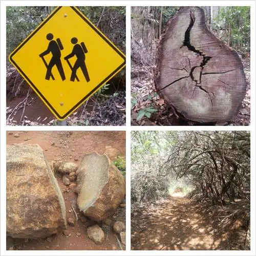 Колоики Ридж Трейл