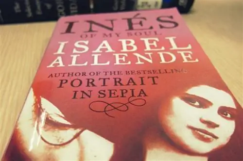 Инес моей души Изабель Альенде, рассказ 1500-х годов о могущественных женщинах и завоевании Чили