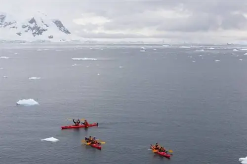 Фото Брейдена