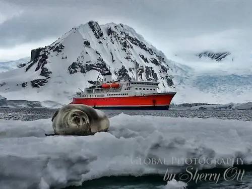 Все плюсы и минусы круиза по Антарктиде