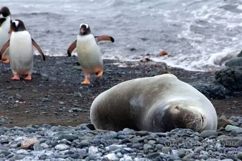 Вся большая счастливая семья на земле