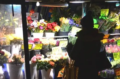 Лавки со свежими цветами, разбросанные по всему Мюнхену, добавляют красок и живости мертвой зиме.