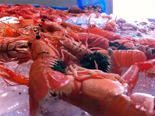 Знаменитые креветки Паламос (gambas de Palamos)