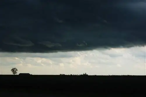 Искусство быть потерянным