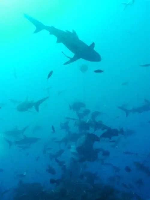 Искусство быть потерянным