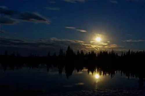 Искусство путешествовать