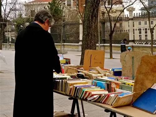 Мадридские рынки, мадридский рынок антикварных книг, мадридские развлечения
