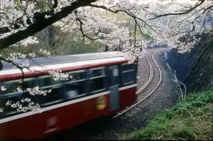 Алишаньская железная дорога в Цзяи, Тайвань