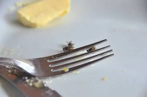 Такие случаи в парке не редкость.