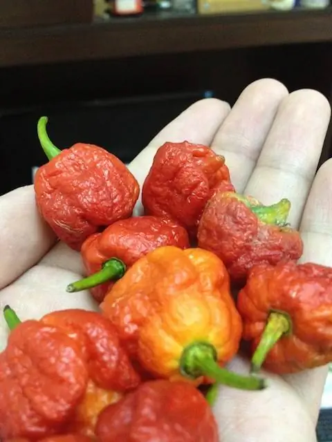 скорпион перец