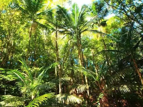 Лесной заповедник Мейн-Ридж