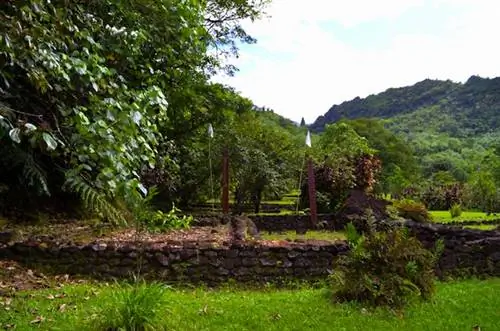 мара фаре хейп