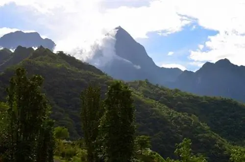 Откройте для себя древнюю культуру и традиции Полинезии в ее горах & Цветы