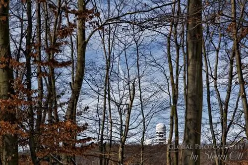 Тойфельберг