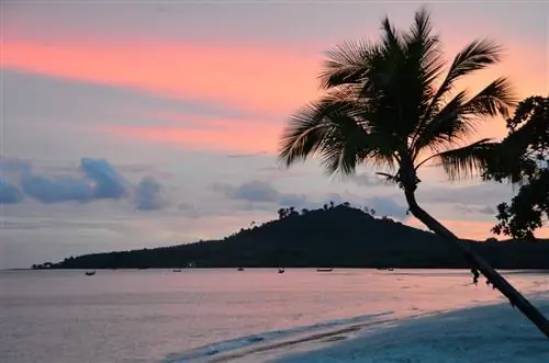 Или просто полюбуйтесь невероятным закатом