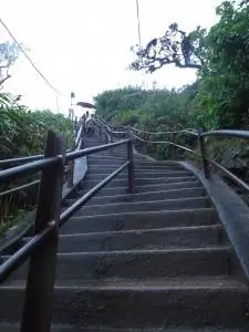 шаги на пути к пику адамса