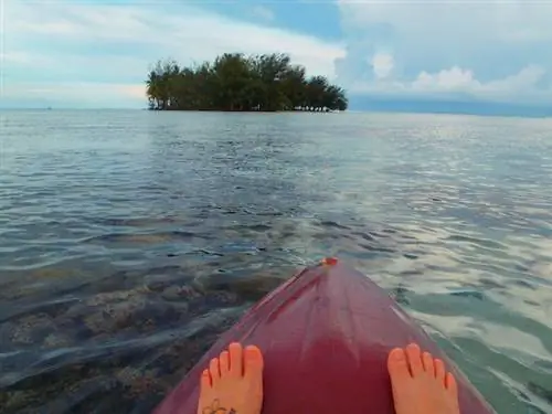 Каякинг к Моту Мири Мири от отеля Raiatea Lodge