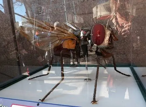 Бостон12