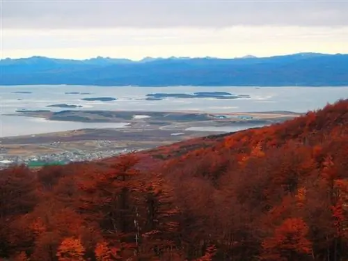 Обязательно для вашего южноамериканского списка желаний: поход по Боевому леднику Патагонии