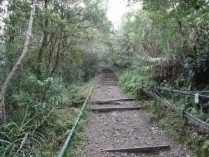 начало похода на гору Кинабалу