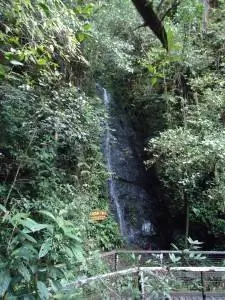 Карсон падает