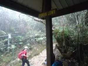 приют пондок лоуи