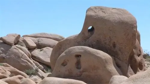 Как посетить национальный парк Джошуа-Три в Калифорнии