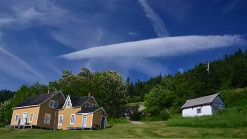 Очарование туров по наблюдению за китами, или… нет