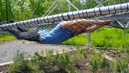 Роберт Шредер нюхает травы