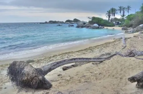 Плайя Бланка