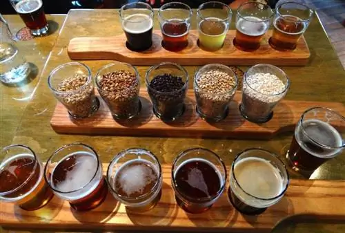 дегустация пива