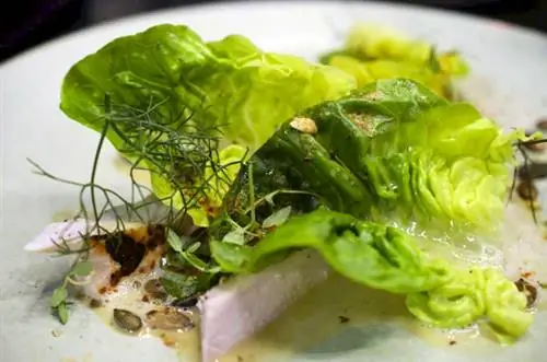 Ресторанное радио в Копенгагене