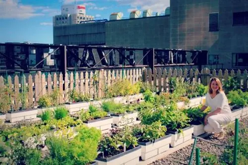 в отеле Fairmont Queen Elizabeth, Монреаль